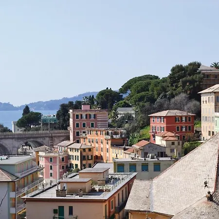 Alloro Iii * Rapallo